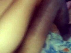 ever watched sussusexycaribe pounding her xvideo follower raw?