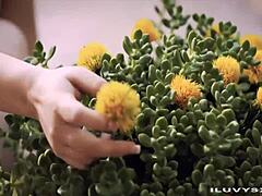 stepsis rides stepbro's cock so hard 🔥😈 wanna watch?