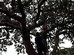 i shoved my COCK into the blonde and brunette atop the tree in the street WATCH the full xvideos red emi rippi video