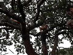 i shoved my COCK into the blonde and brunette atop the tree in the street WATCH the full xvideos red emi rippi video