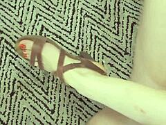 French wife cuckolds hubby hot bull doggystyle bareback!