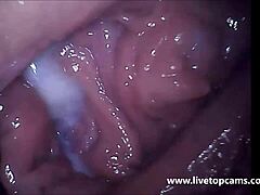 Girl's Vagina Cums Filmed From Inside