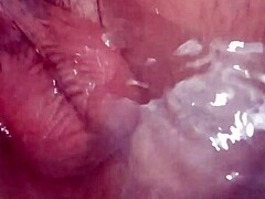 i masturbate my prolapse with hot water shave my big tattooed dick and get anal pleasure from fucking my stretched anal hole
