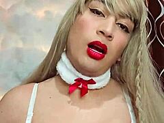 Transexual stroking cock while dressed up