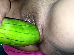 Slutty wife entertains preston with her pussy for thanksgiving