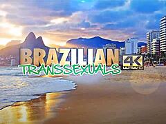 brazilian transexuals three beautiful babes in action