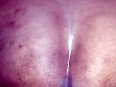 伙计，我印尼丈夫和我吵架，把我赶走，现在他不在我偷偷溜回来。真不敢相信这烂摊子，必须分享接下来在家发生的事。