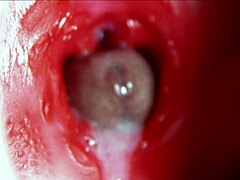 يا إلهي، هزة جماع ضخمة في طيزها! أنين رائع وكمية مني تنفجر داخلها!