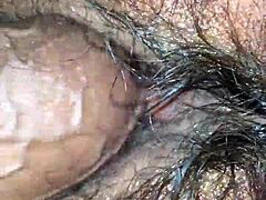 Lihat memek tebel berbulu jalang itu, dia lapar banget sama kontolku