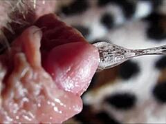 watch this BIG CLIT pulse to ORGASM in closeup HD!