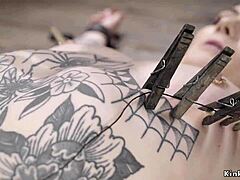 imagine pale alt slave's ass whipped raw in tight bdsm dungeon bonds